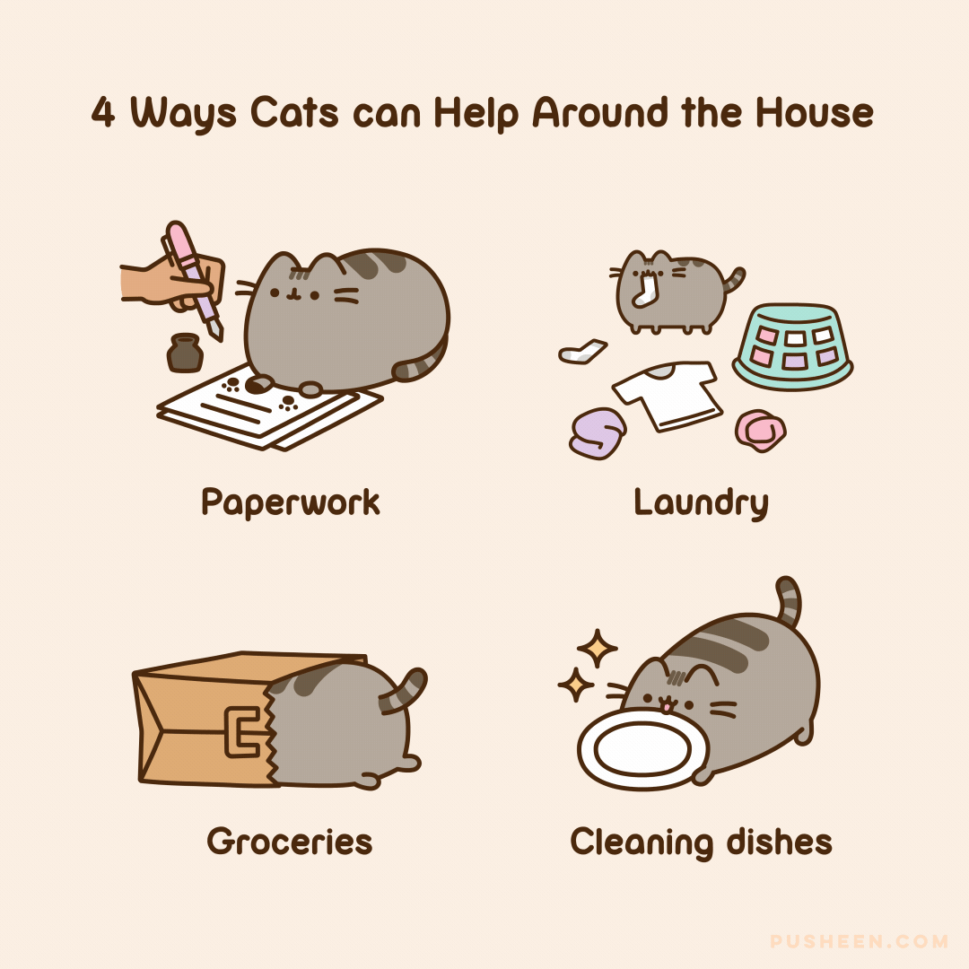 4 Ways Cats Can Help Around the House