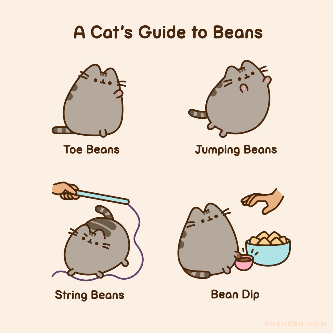 A Cat's Guide to Beans