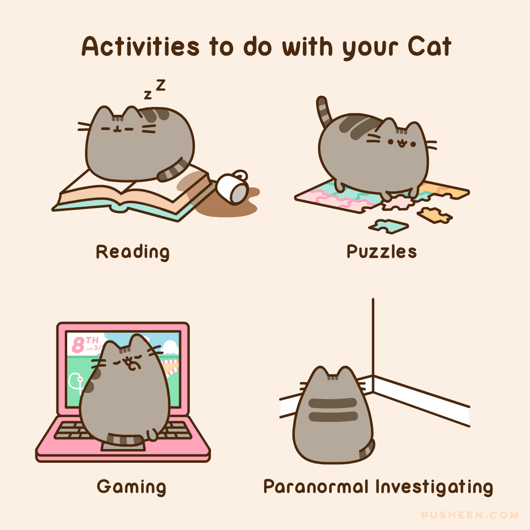 Activities to do with your Cat