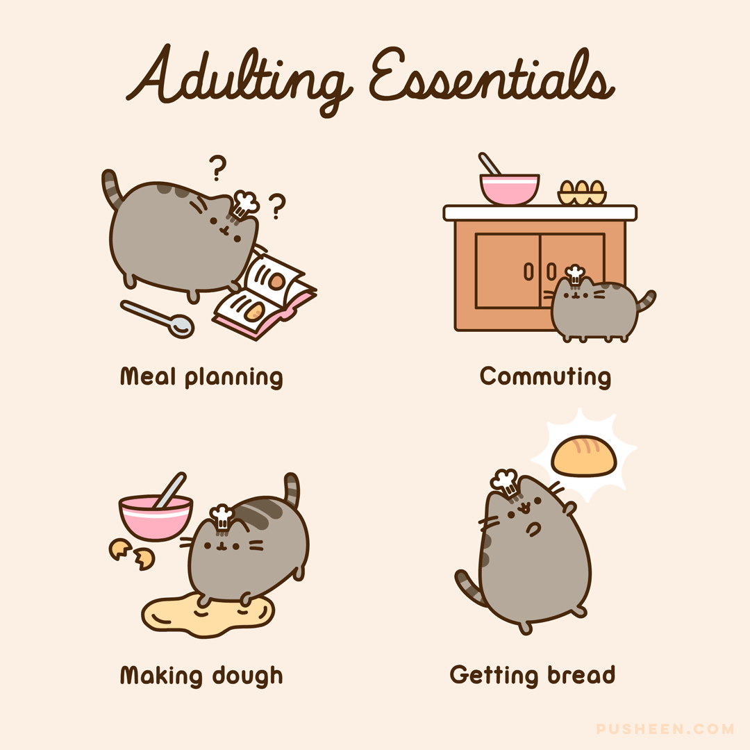 Adulting Essentials