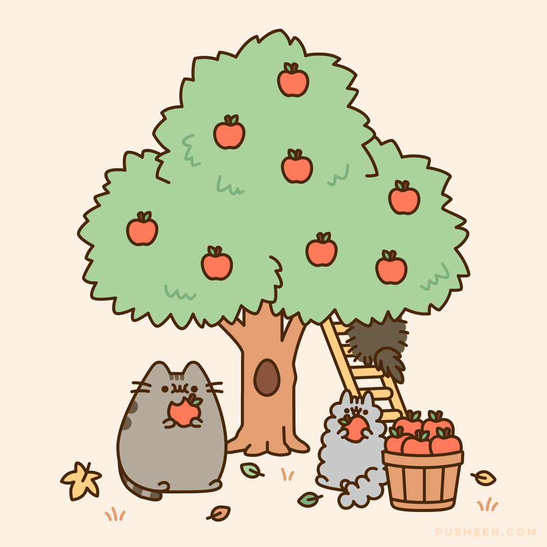 Apple Picking