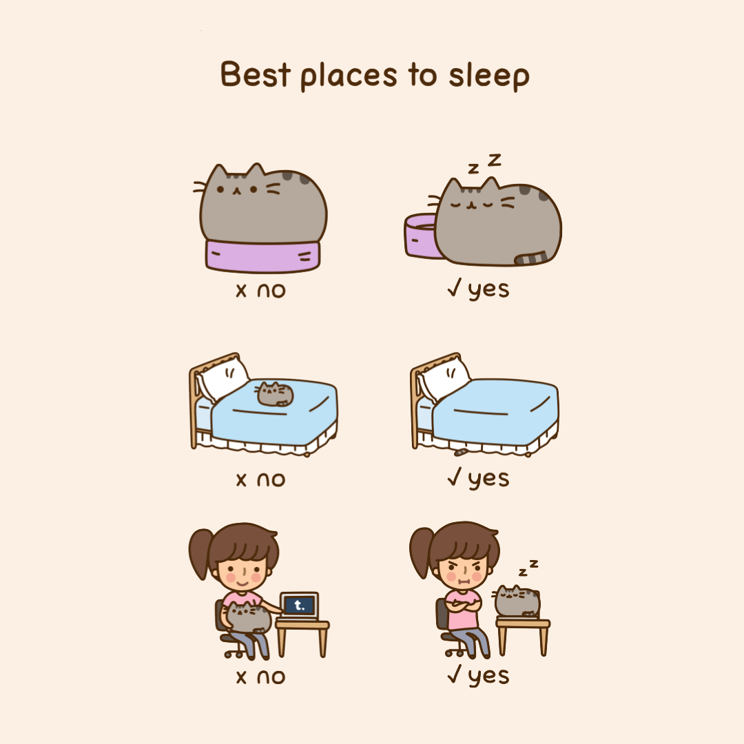 Best Places to Sleep
