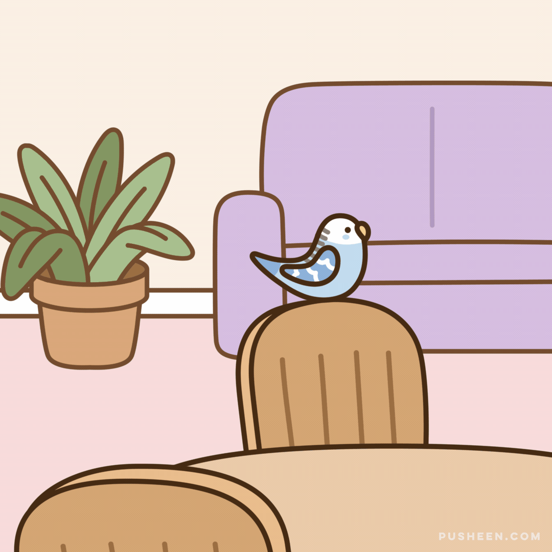 Birdwatching