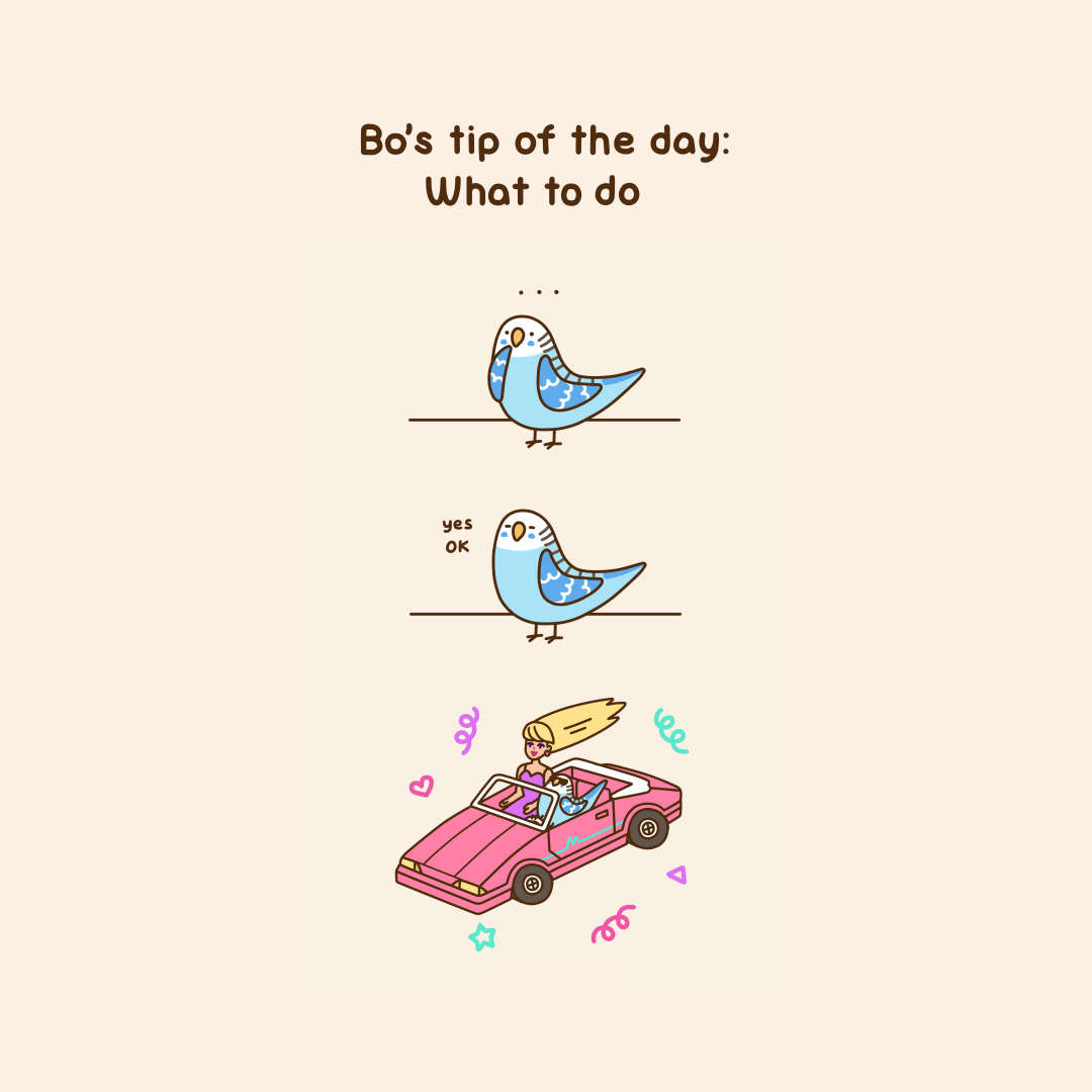 Bo's Tip of the Day: What to Do