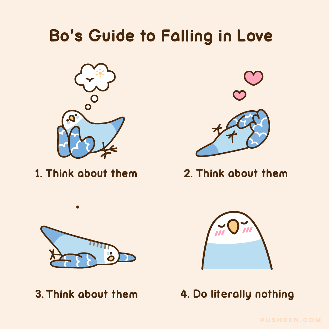 Bo's Guide to Falling in Love