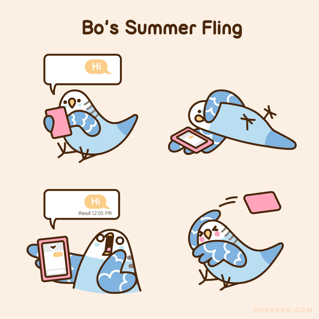 Bo's Summer Fling