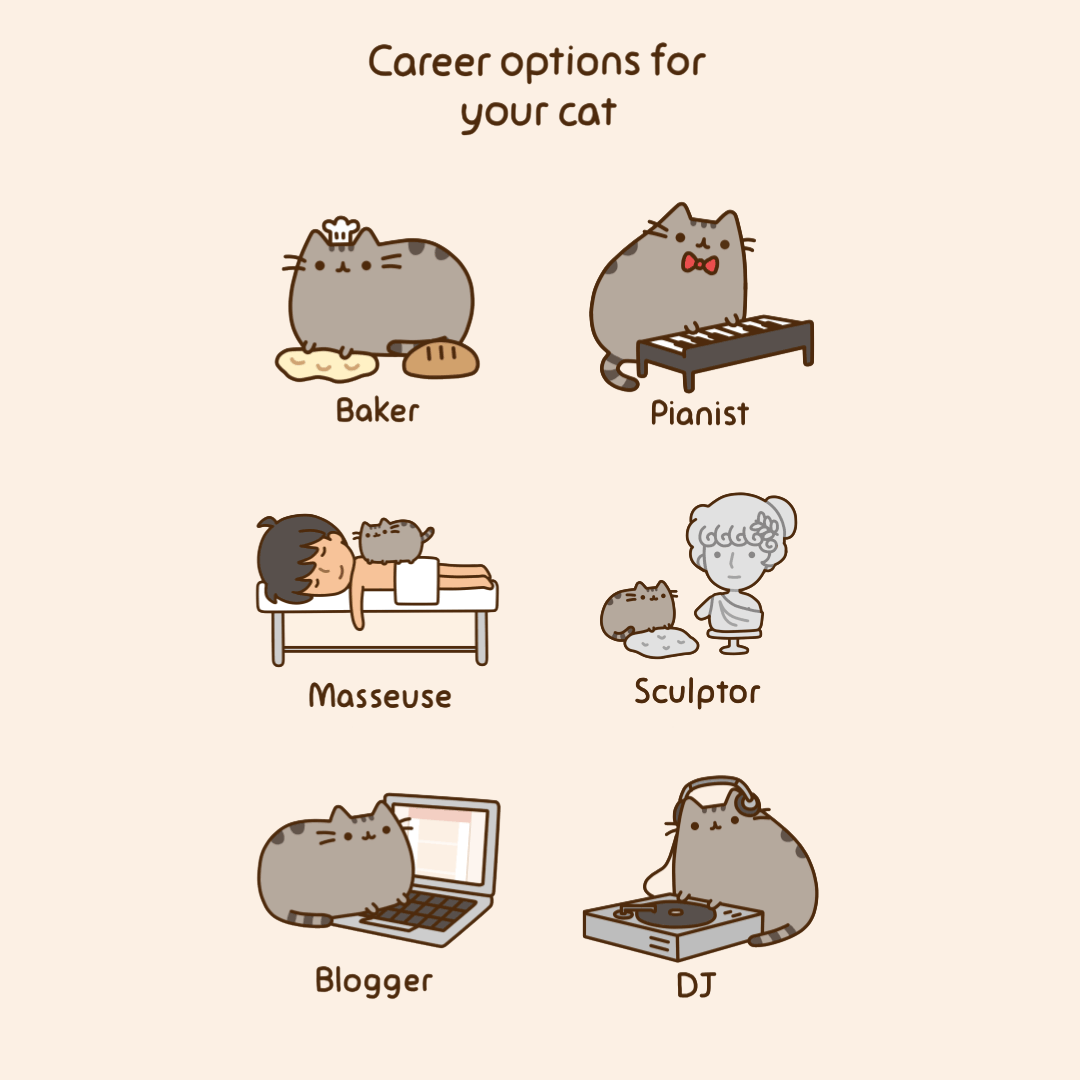 Career Options for Your Cat