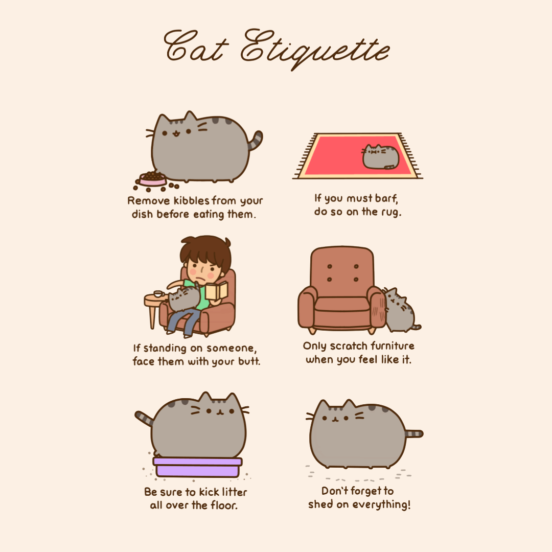 Cat Etiquette