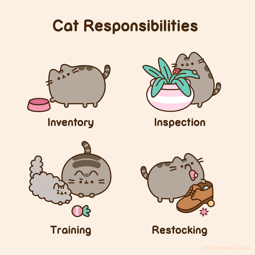 Cat Responsibilities
