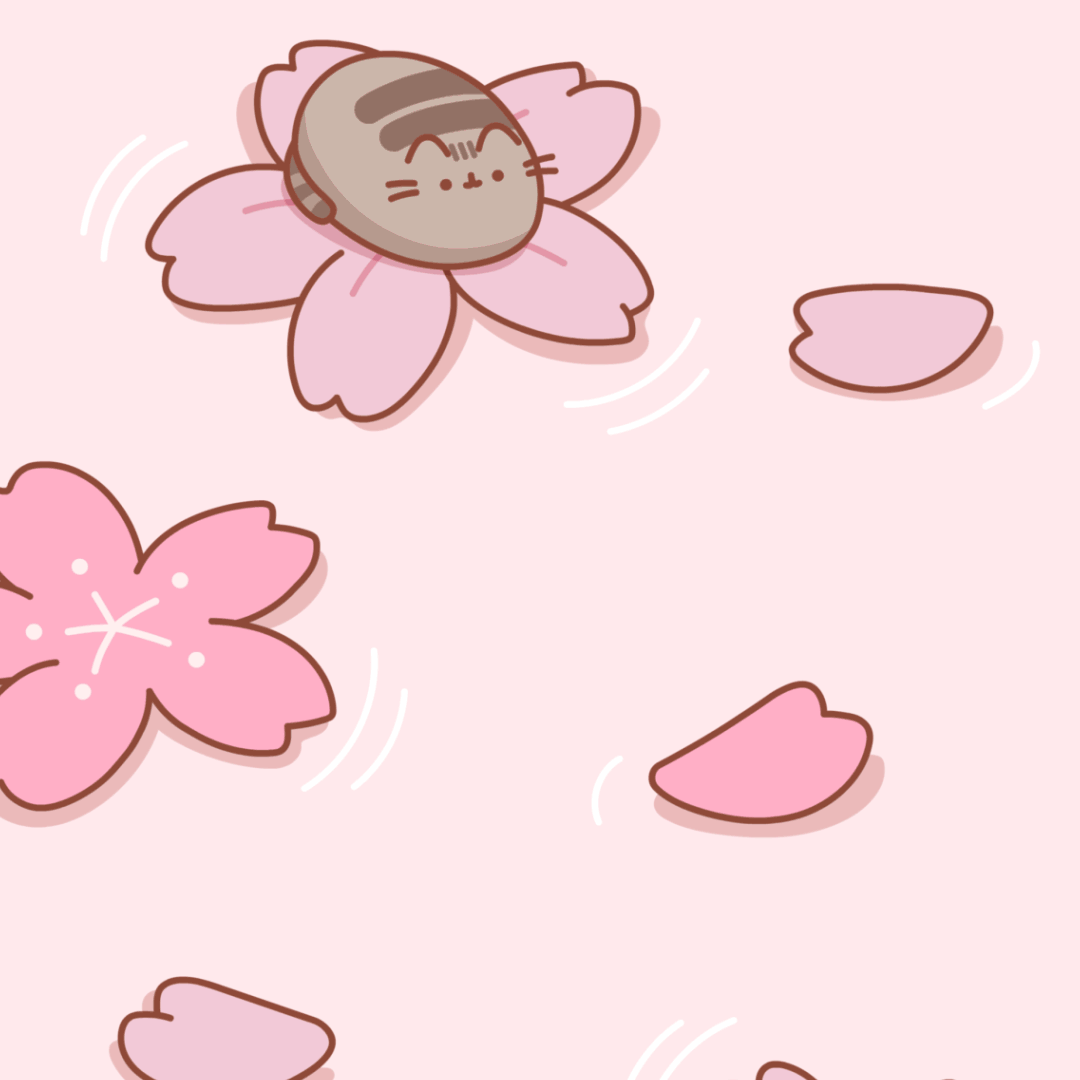 Cherry Blossoms
