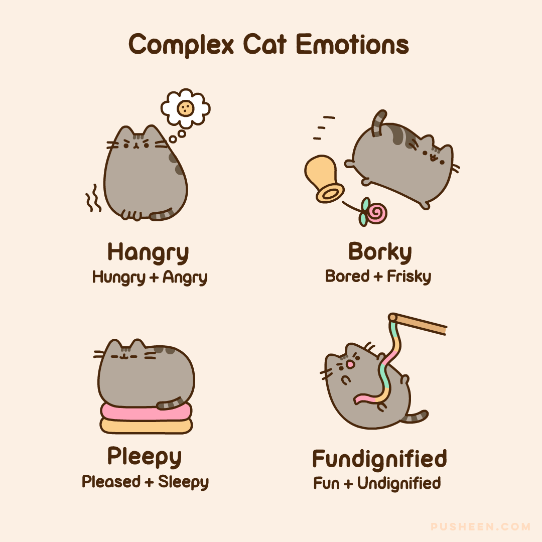 Complex Cat Emotions