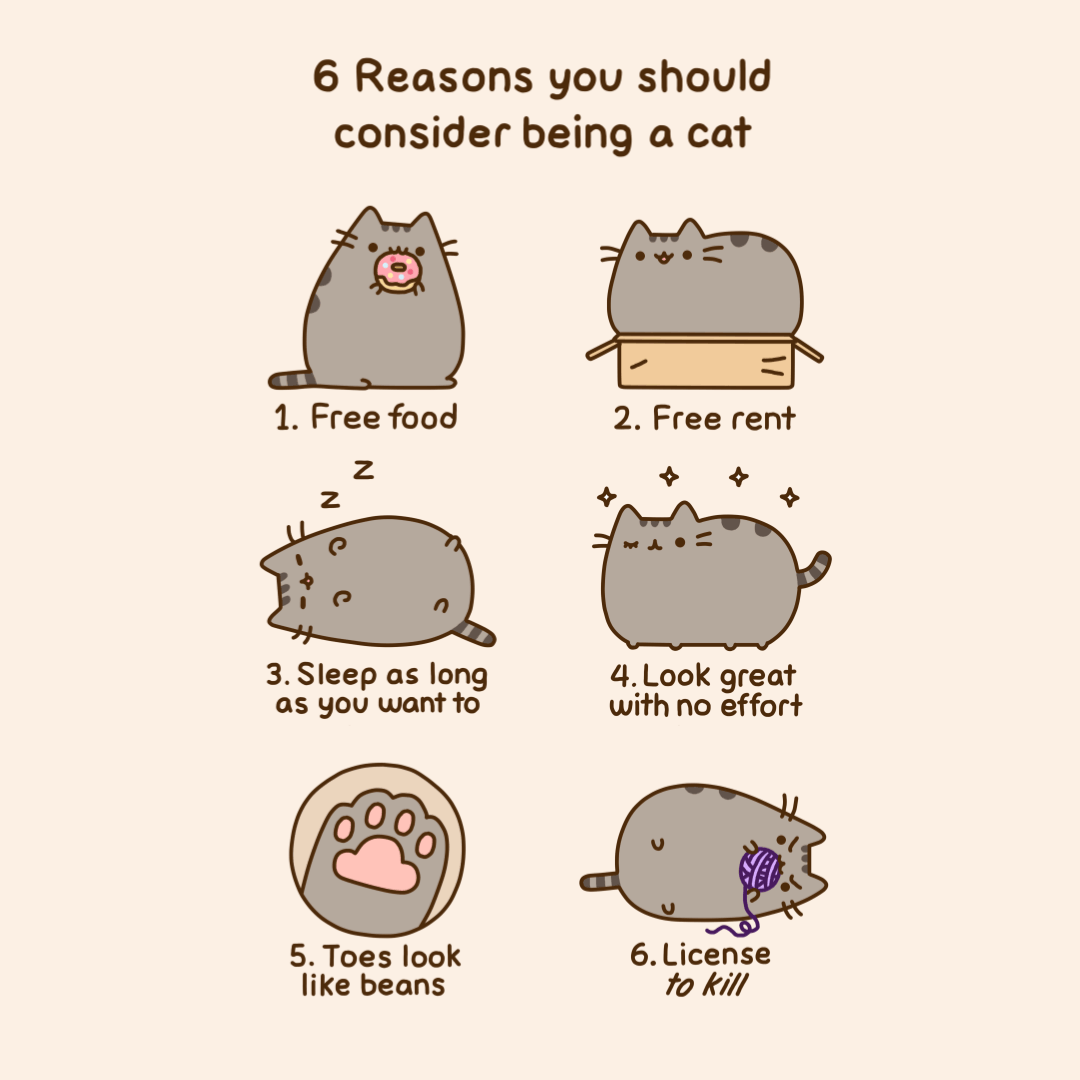 6 Reasons You Should Consider Being a Cat