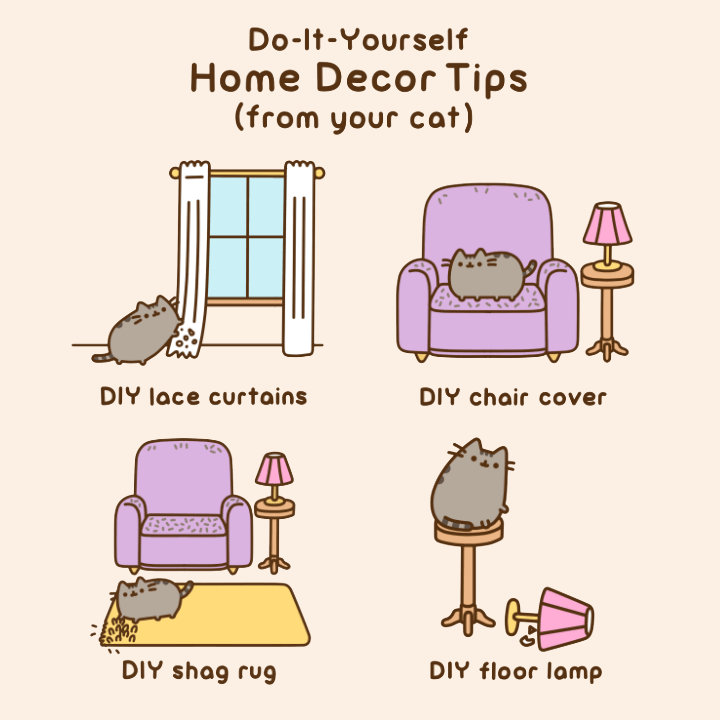 Do-It-Yourself Home Decor Tips (From Your Cat)
