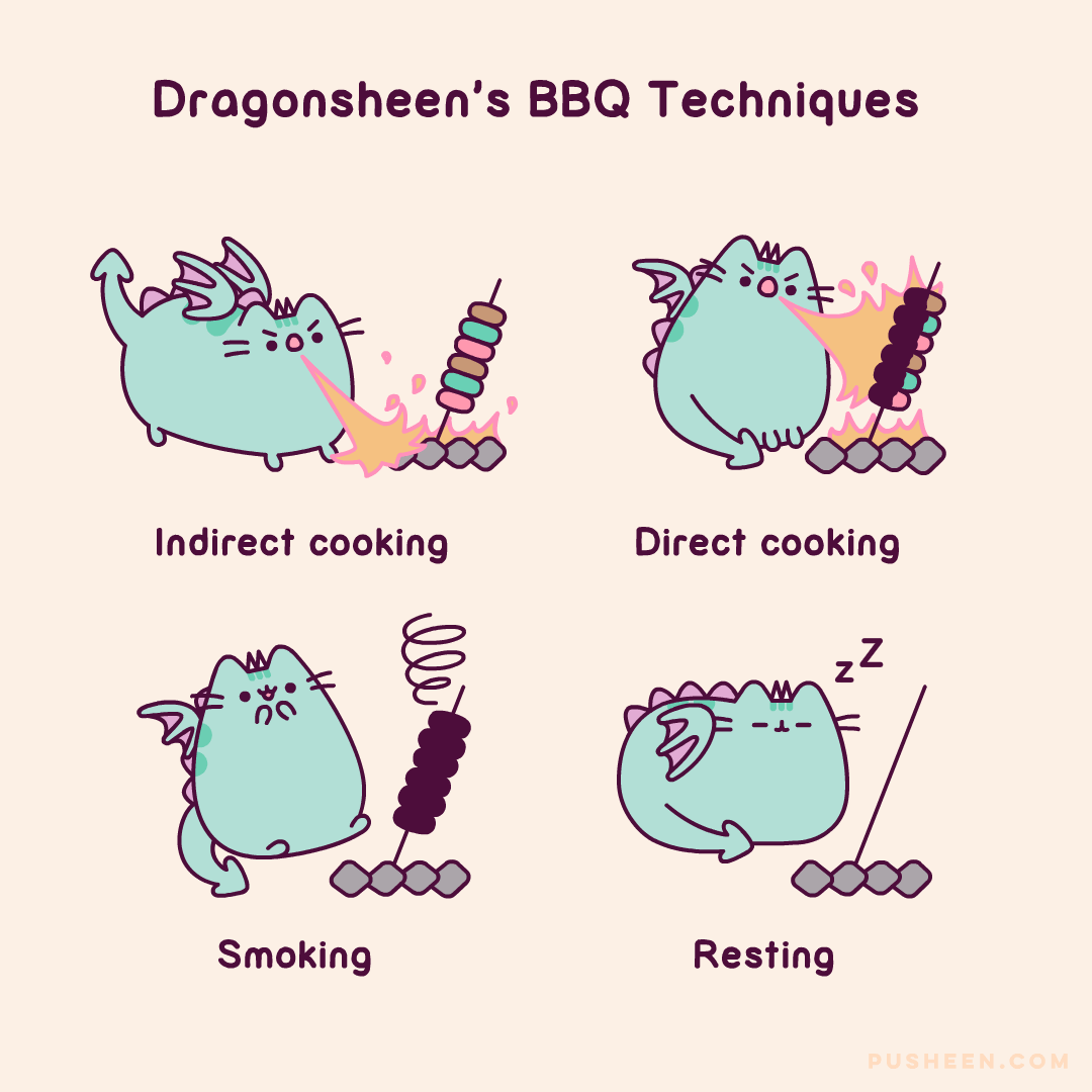 Dragonsheen's BBQ Techniques