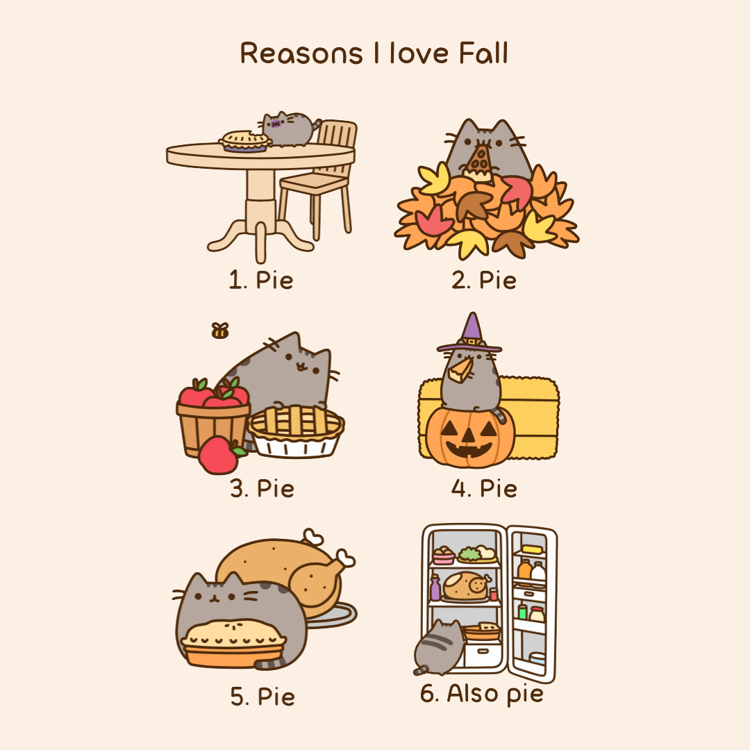 Reasons I Love Fall