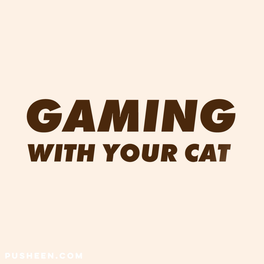 Gaming with Your Cat