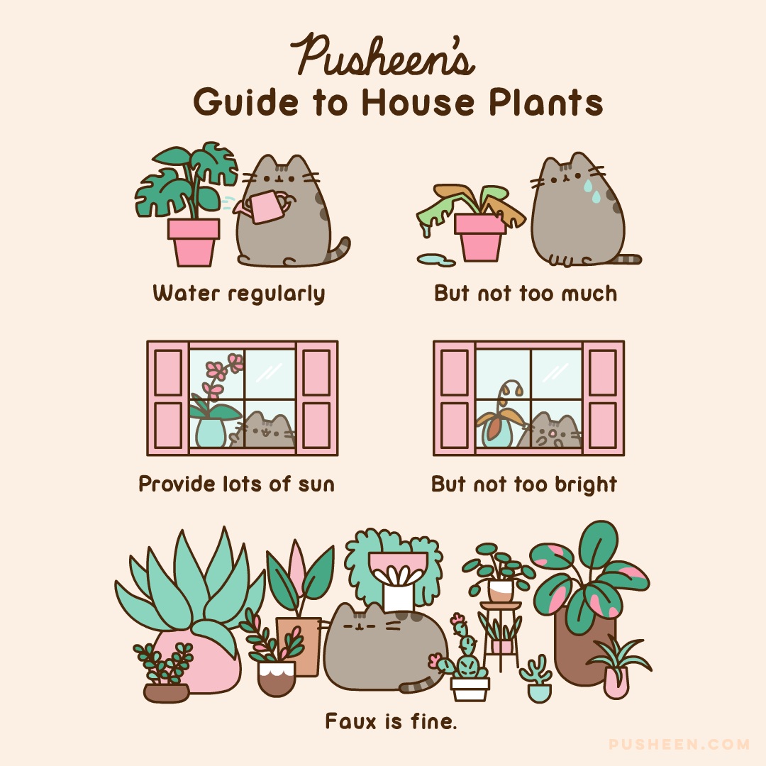 Pusheen's Guide to House Plants