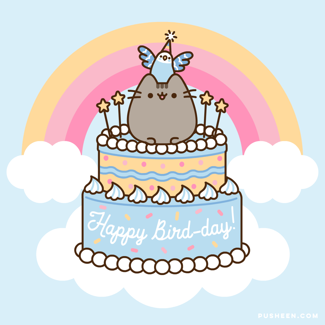 Happy Birthday Bo!