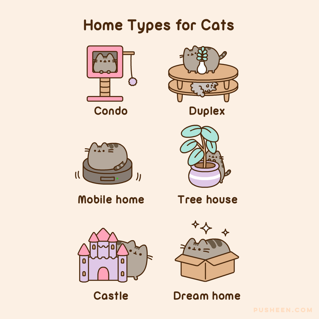 Home Types for Cats