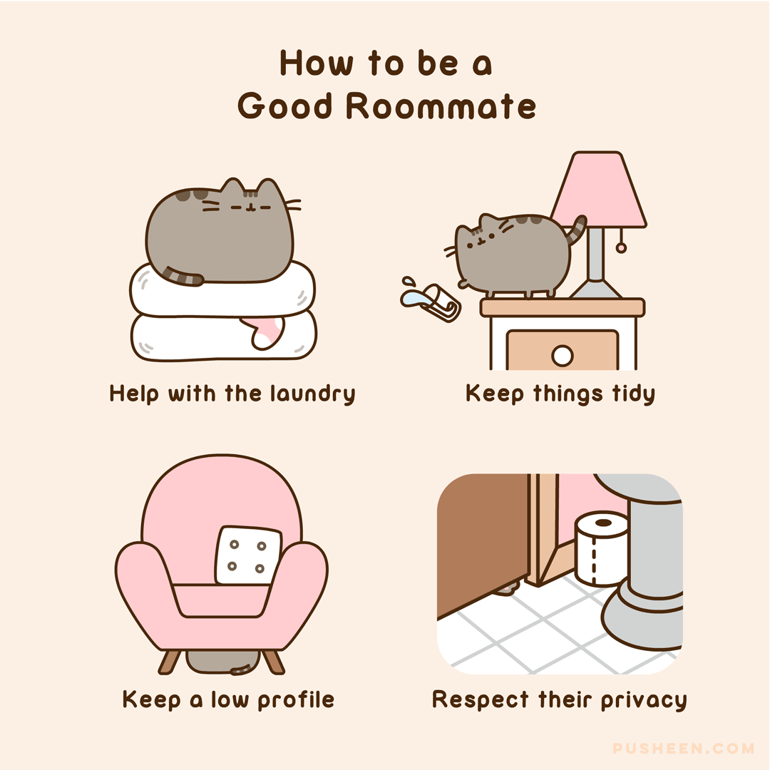 How to be a Good Roommate