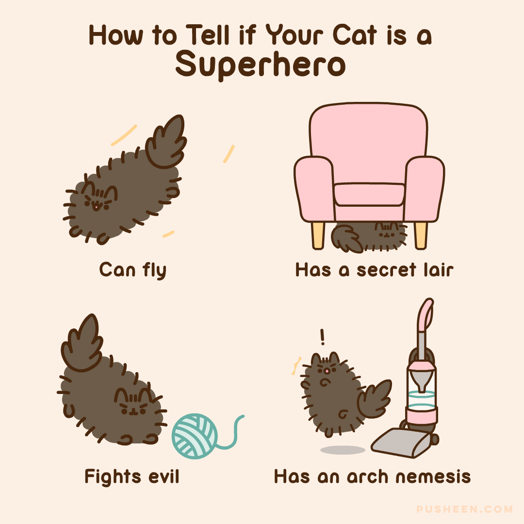 How to Tell if Your Cat is a Superhero