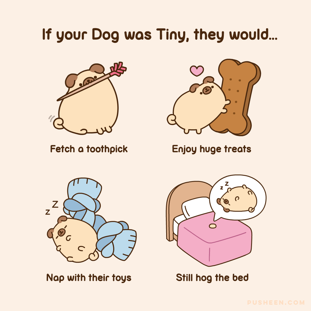 If Your Dog Was Tiny