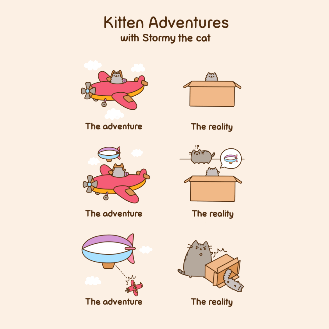 More Kitten Adventures With Stormy the Cat