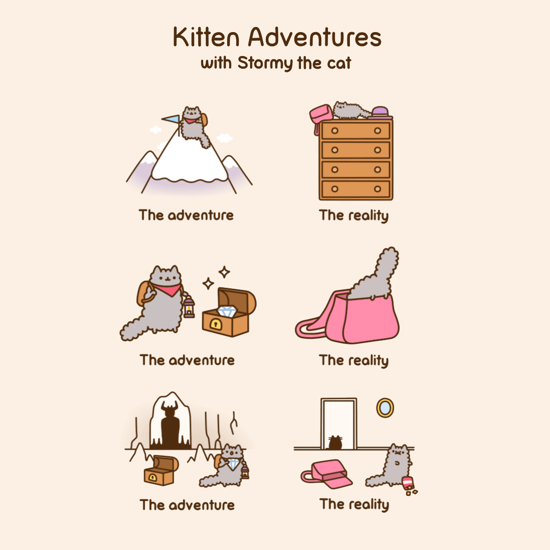 Kitten Adventures with Stormy