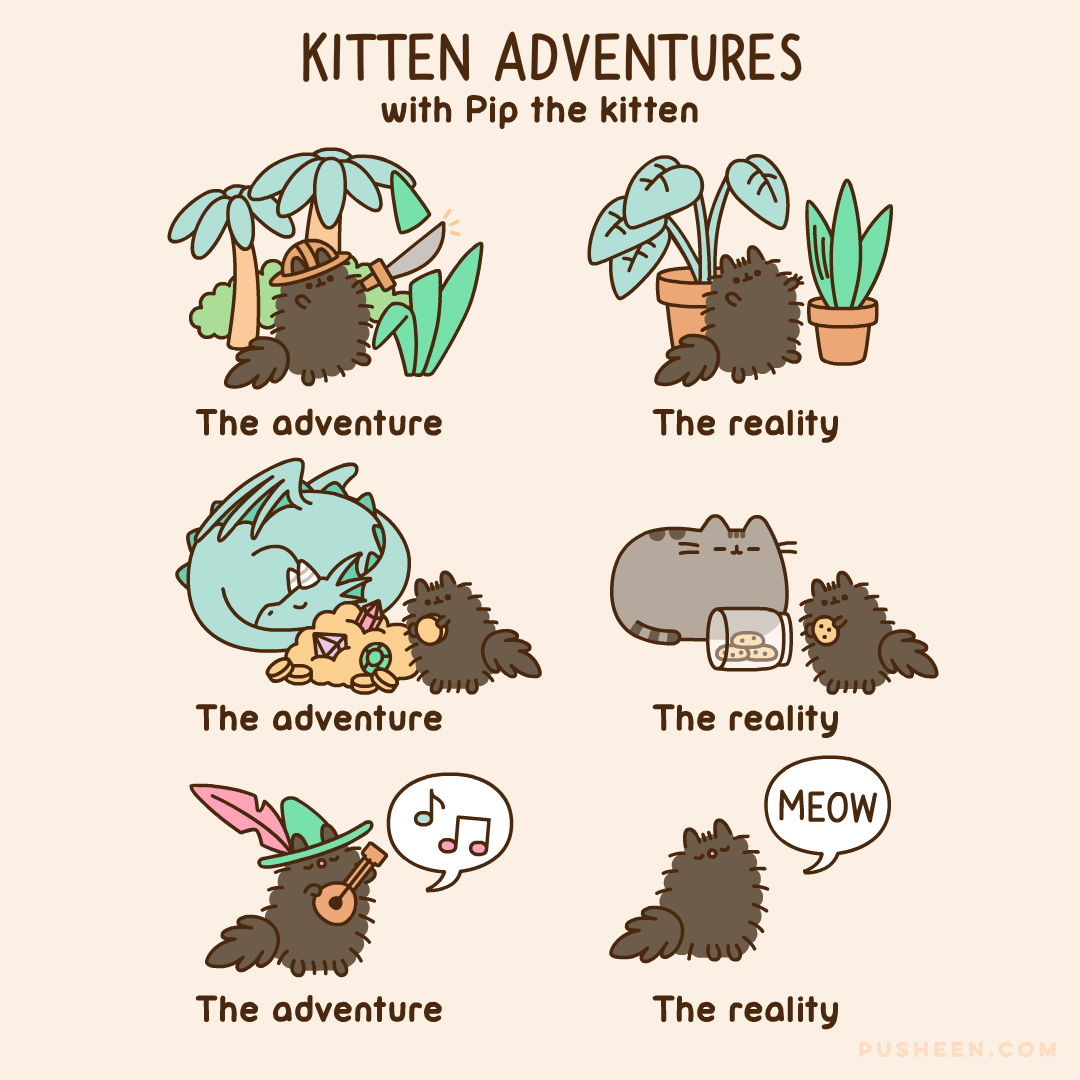 Kitten Adventures with Pip the kitten