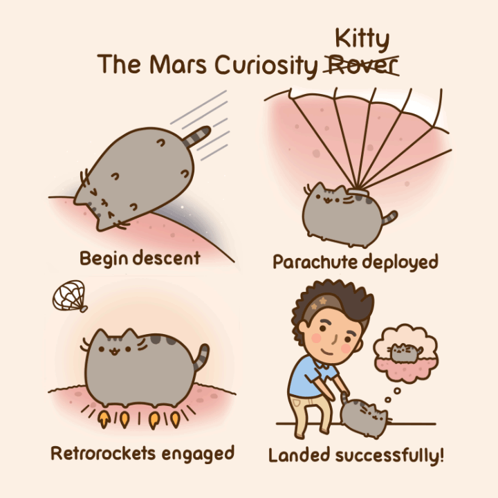 The Mars Curiosity Kitty
