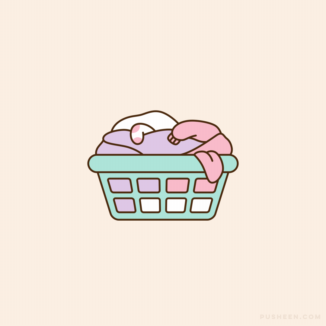 Laundry Basket