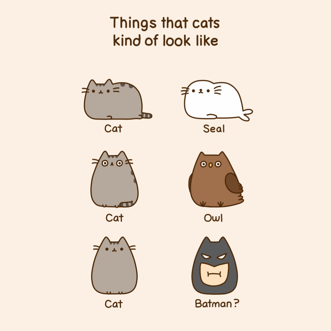 Things That Cats Kind of Look Like