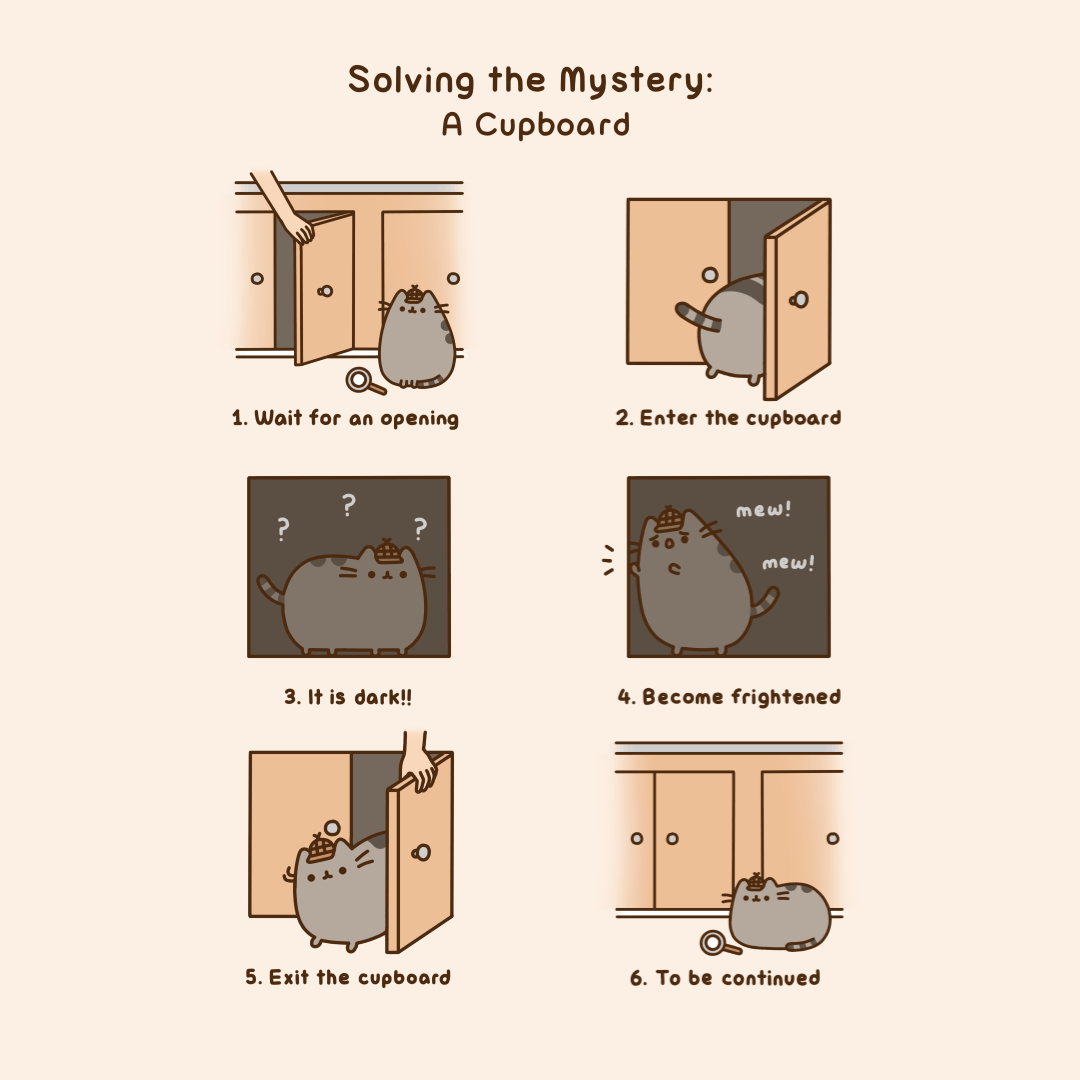 Solving the Mystery: A Cupboard
