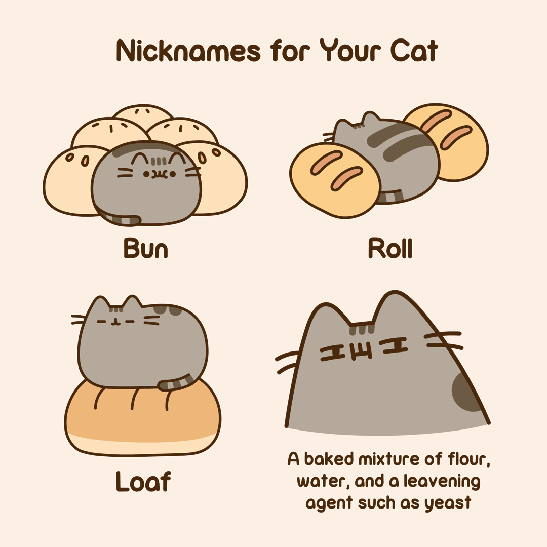 Nicknames for Your Cat