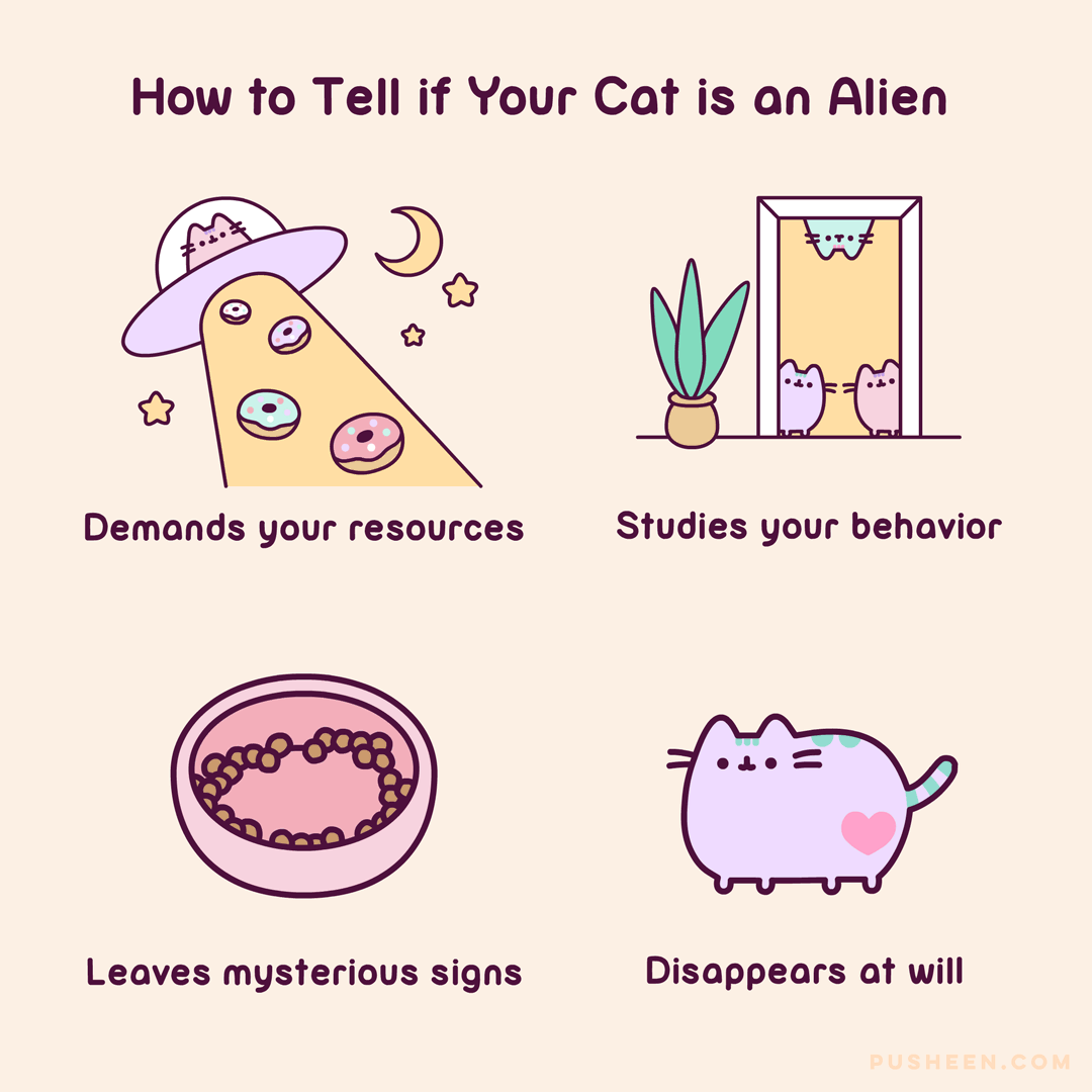 How to Tell If Your Cat is an Alien