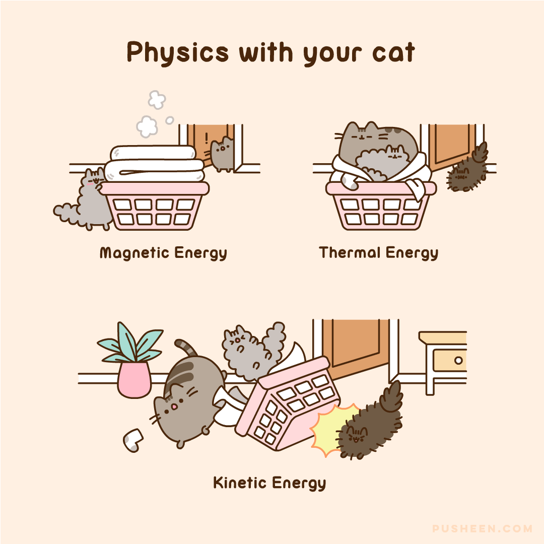 Physics with Your Cat