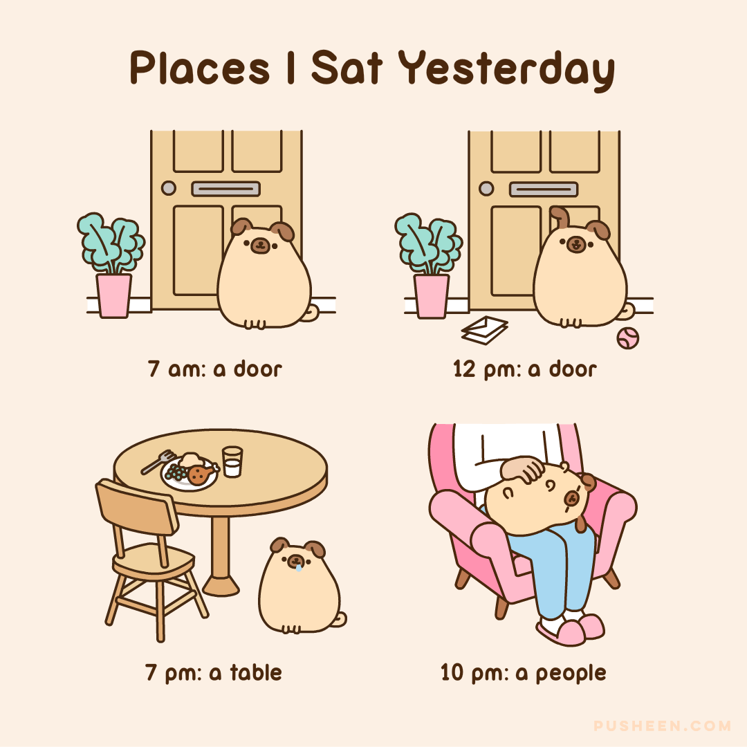 Places I Sat Yesterday
