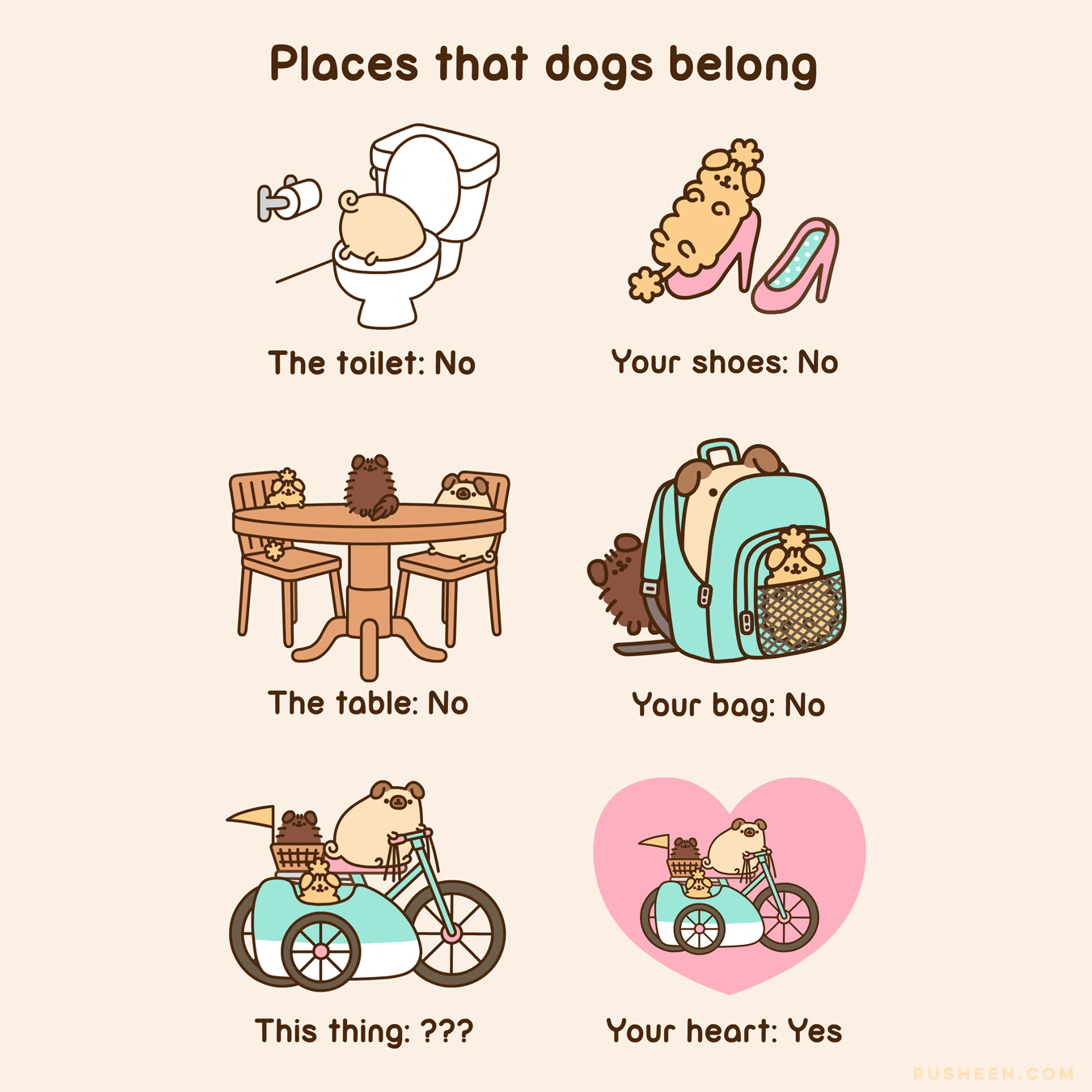 Places Dogs Belong