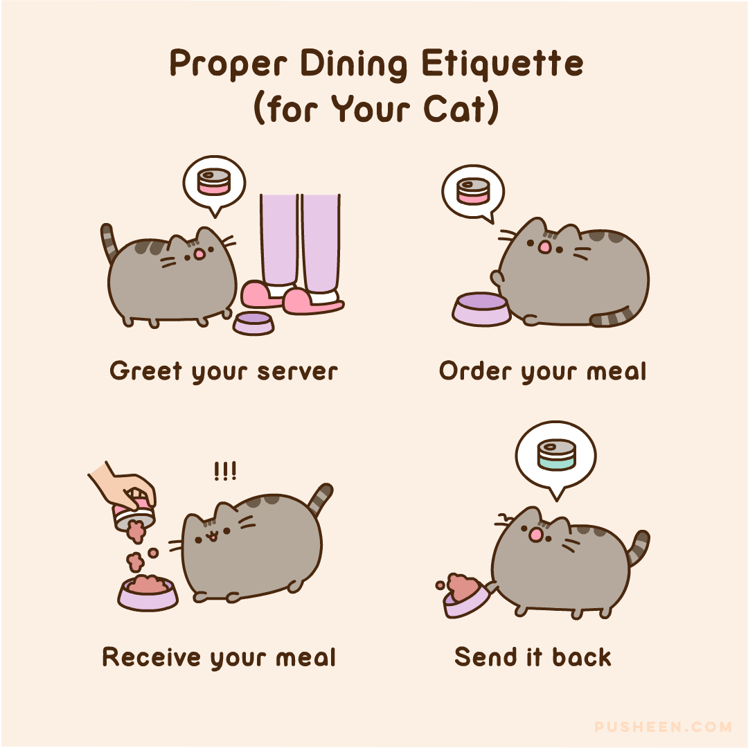Proper Dining Etiquette (for Your Cat)