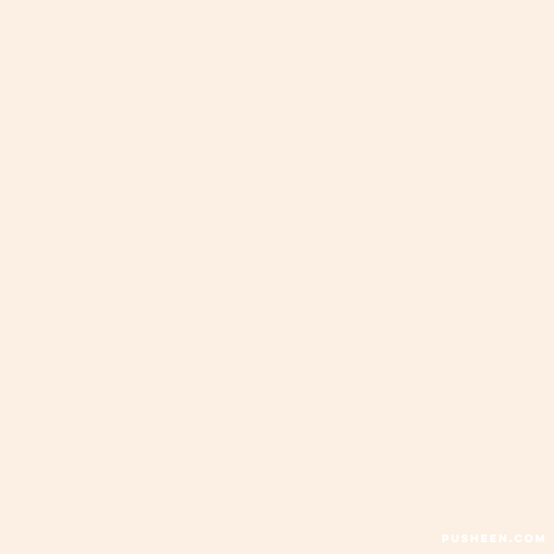 Pusheen Plop