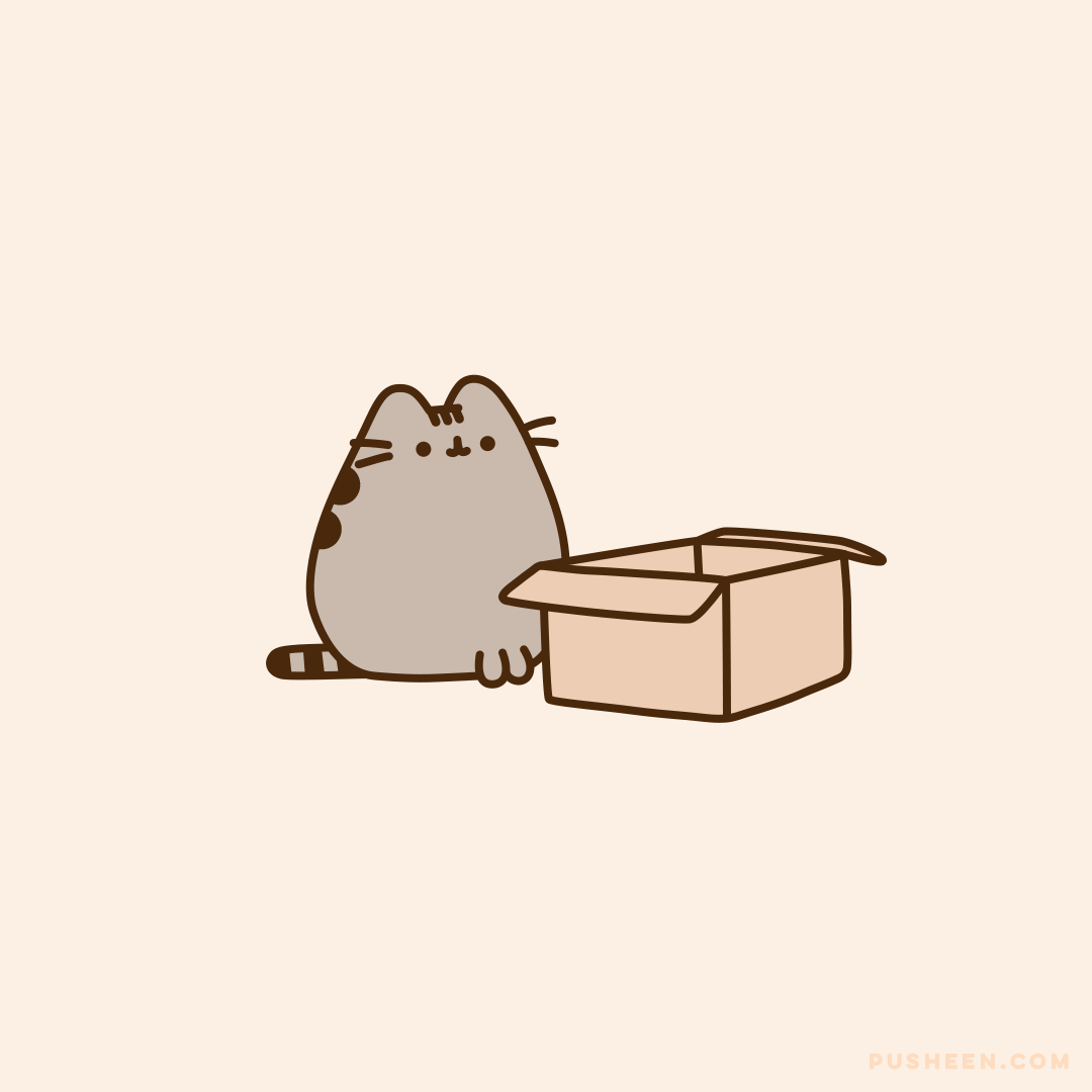 Pusheen vs the Box