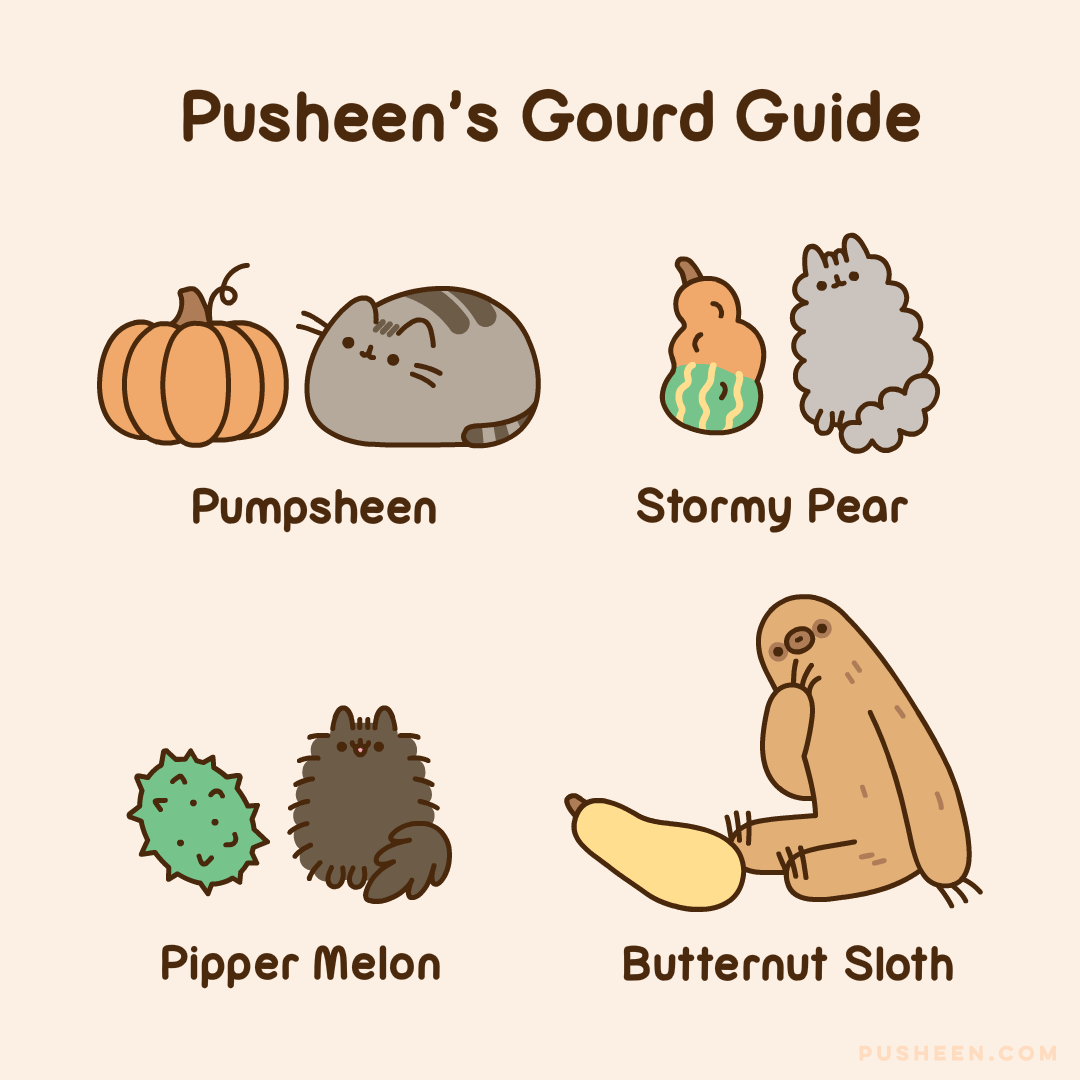 Pusheen's Gourd Guide