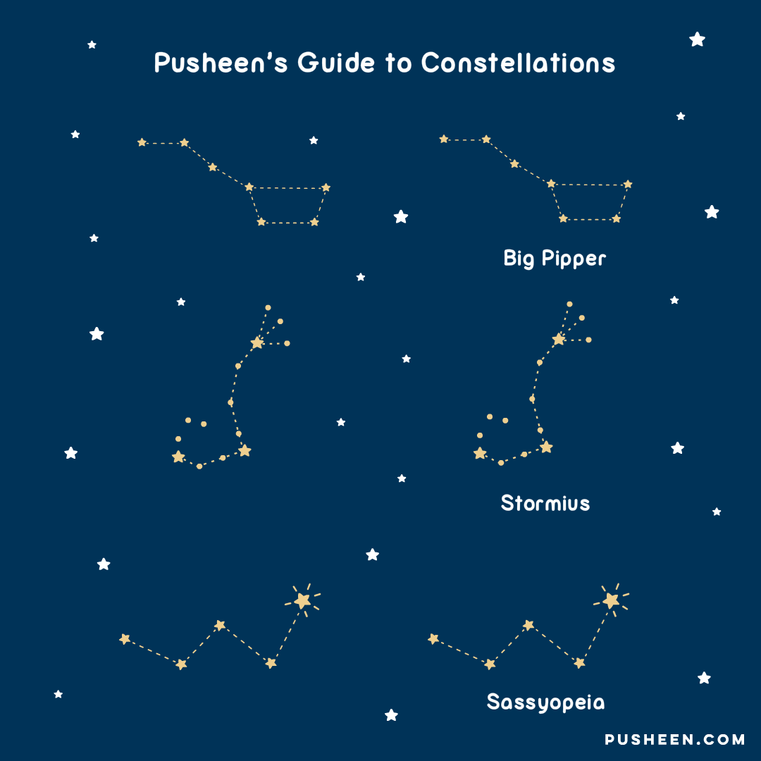 Pusheen's Guide to Constellations