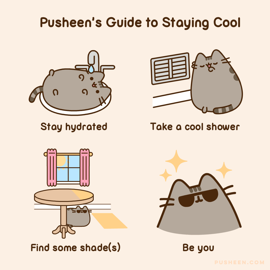 Pusheen's Guide to Staying Cool