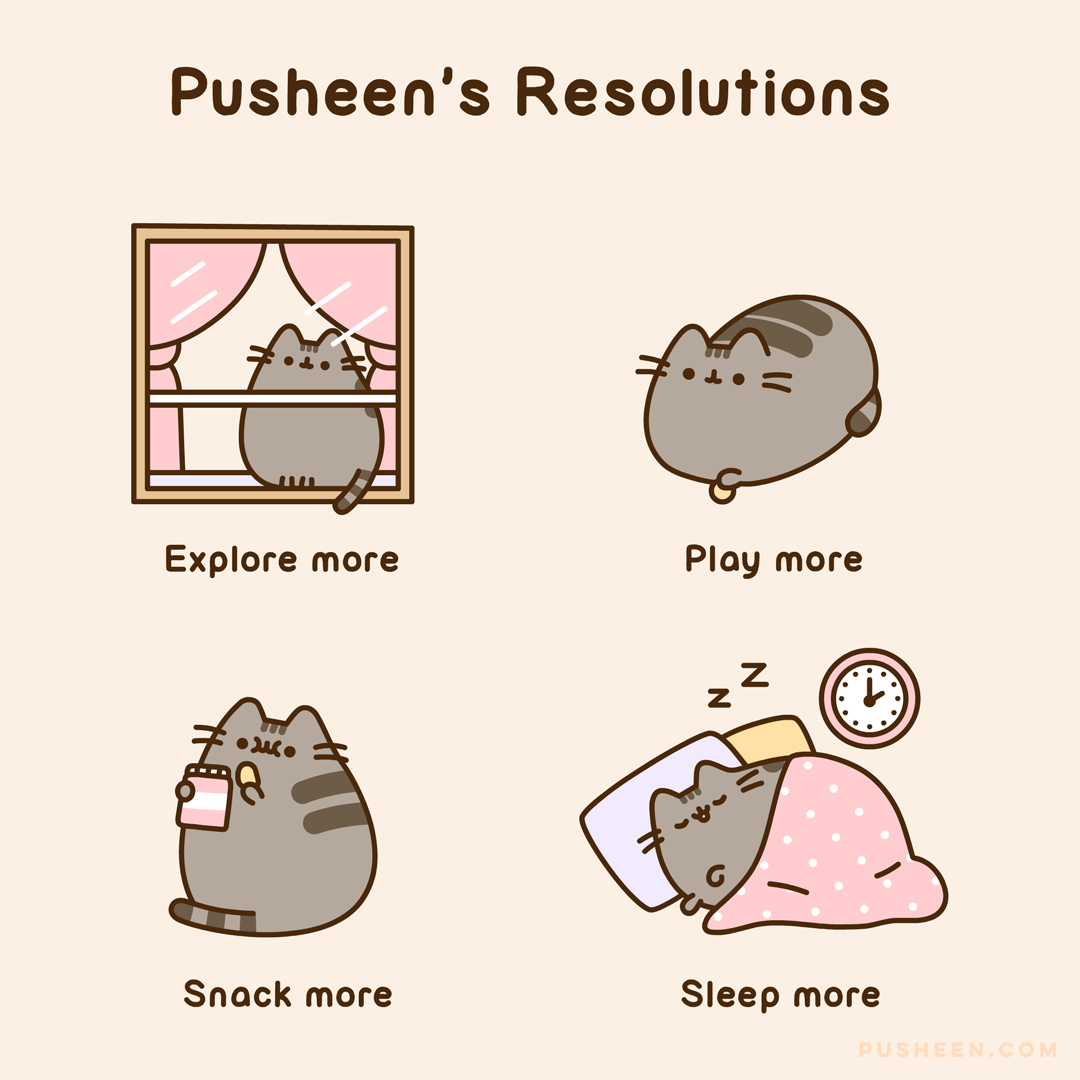 Pusheen's Resolutions