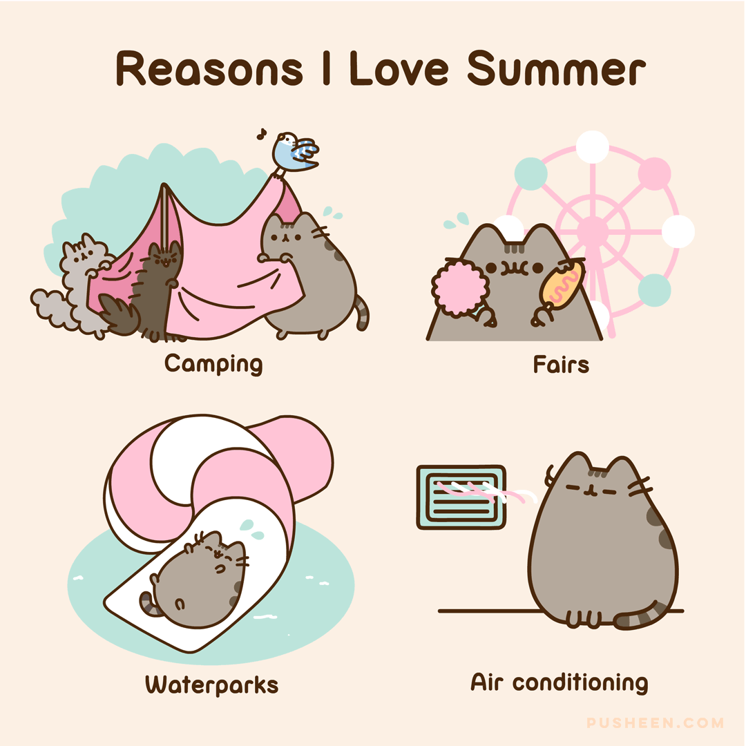 Reasons I Love Summer