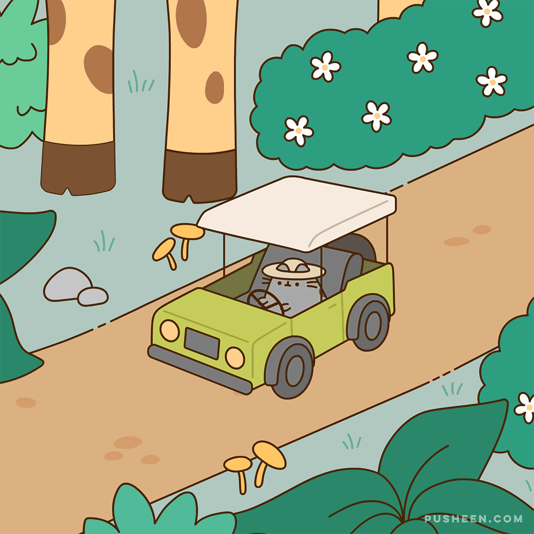 Safari