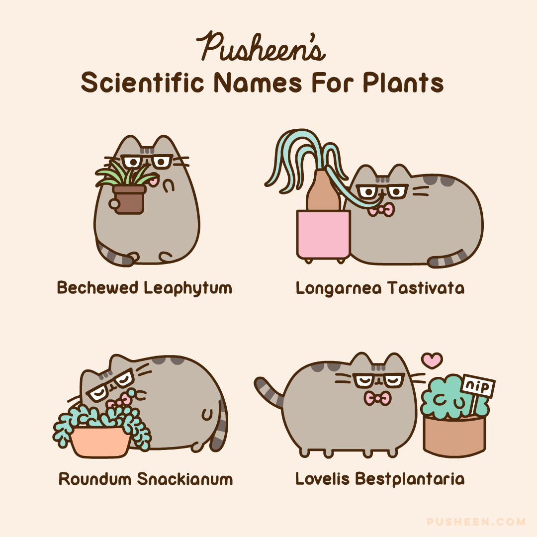 Pusheen's Scientific Names for Plants
