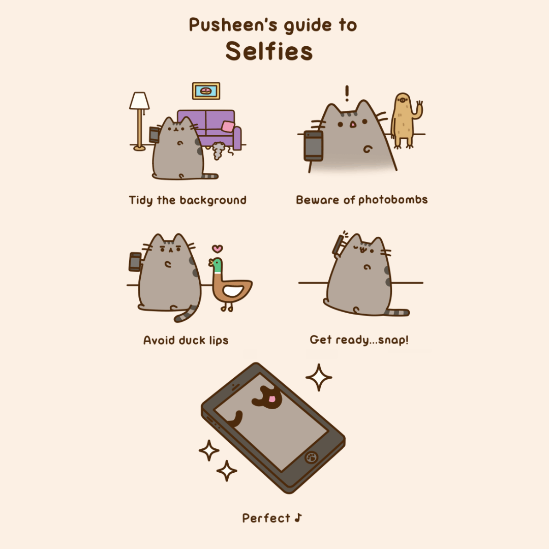 Pusheen's Guide to Selfies