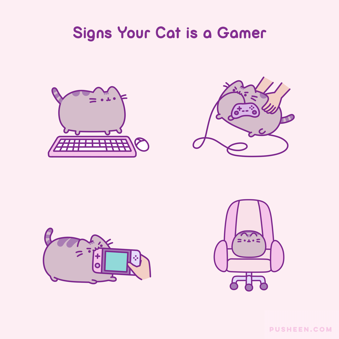 Signs Your Cat is a Gamer